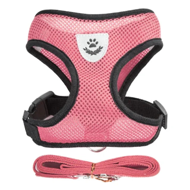 Adjustable Mesh Pet Harness & Leash Set