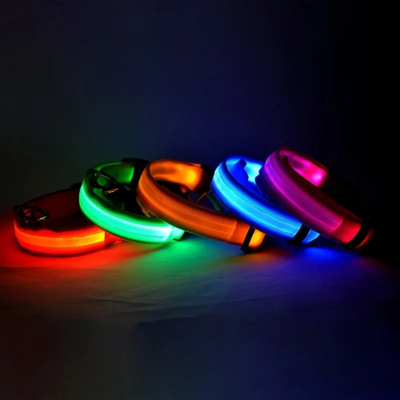 LED Glow-in-the-Dark Dog Leash