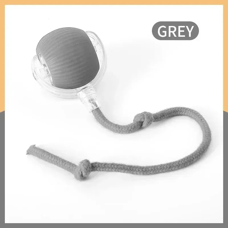 Automatic Rolling Ball Cat & Dog Toy