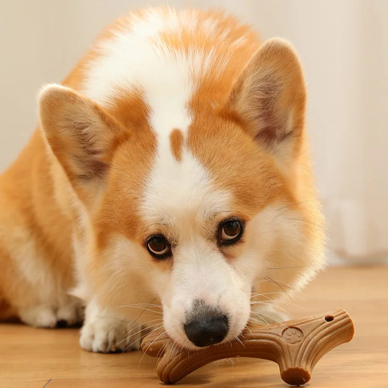 Bamboo Dog Teeth Grinding Toy