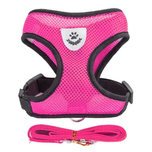 Adjustable Mesh Pet Harness & Leash Set