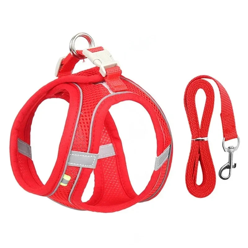 Breathable Small Dog Safety Harness Vest