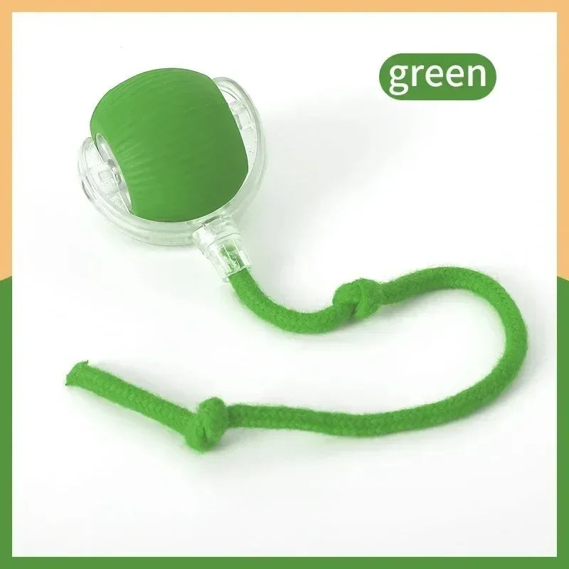 Automatic Rolling Ball Cat & Dog Toy