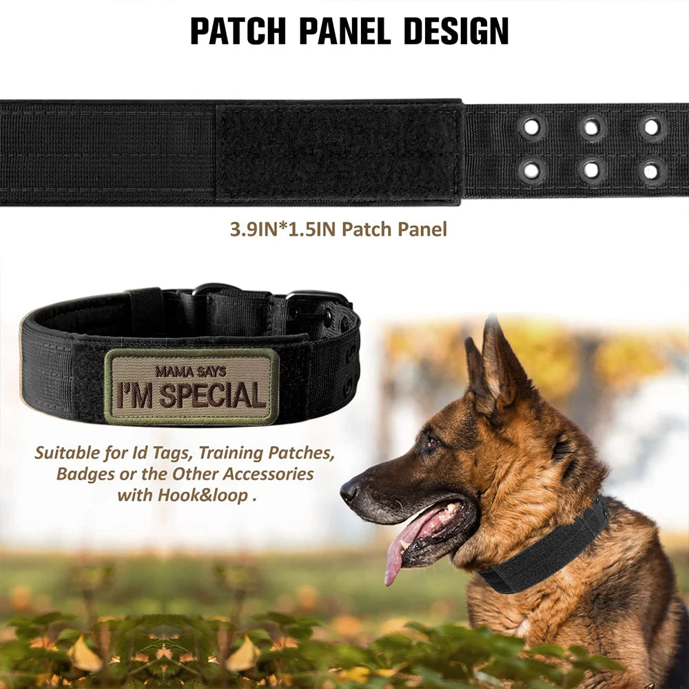 Tactical Military Dog Collar