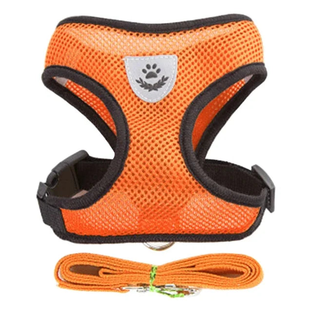 Adjustable Mesh Pet Harness & Leash Set
