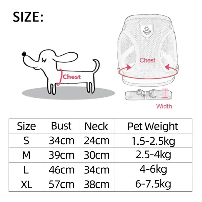 Adjustable Mesh Pet Harness & Leash Set