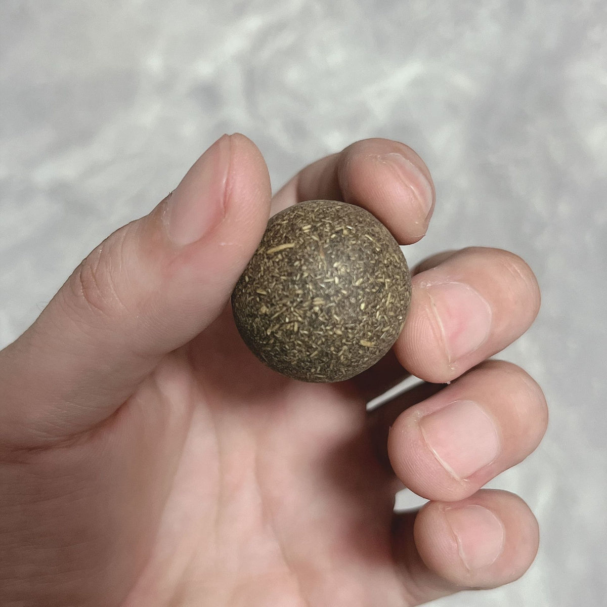 Catnip & Gall Fruit Rotating Ball Cat Toy