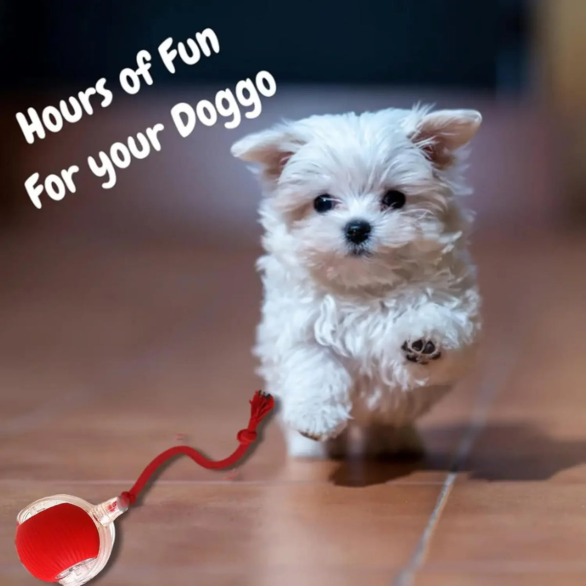 Automatic Rolling Ball Cat & Dog Toy