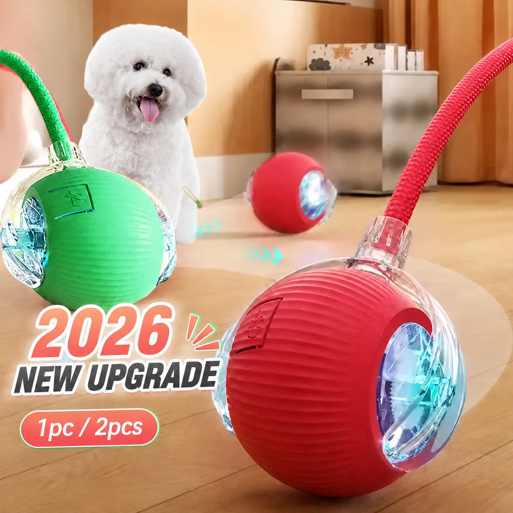 Smart Auto-Rolling Dog Ball Toy