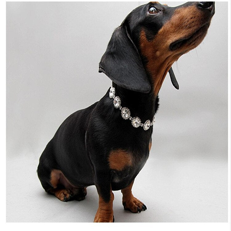 Pearl & Rhinestone Pet Collar for Cats & Dogs