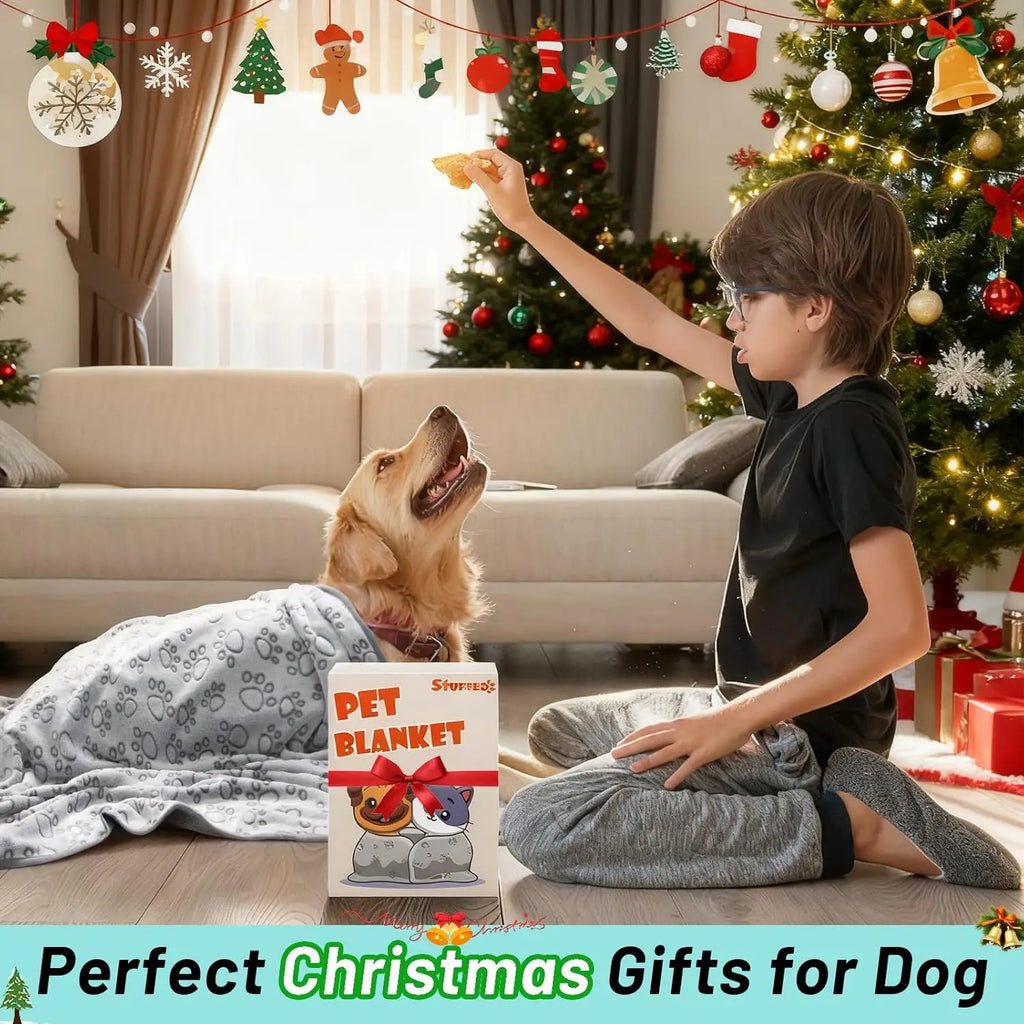 Soft Washable Pet Blanket