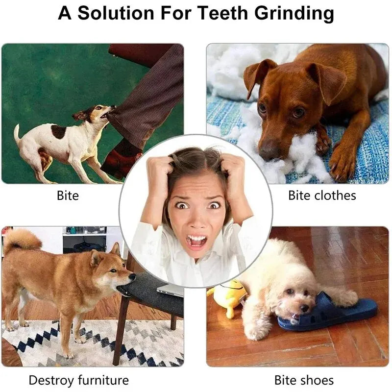 Treat Feeder Dog Chew Ball