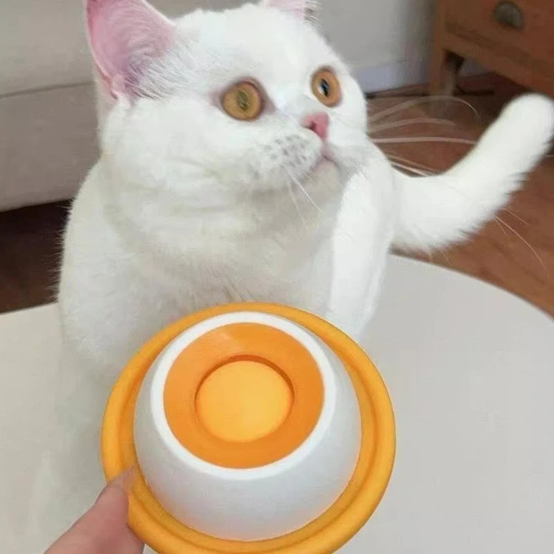 Slow Feeder Pet Food Bowl