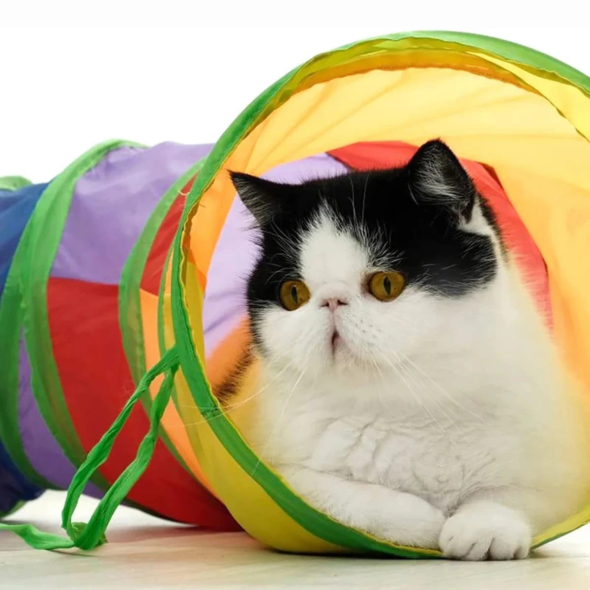 Foldable Cat Tunnel Tube | Interactive Play Toy for Cats & Kittens