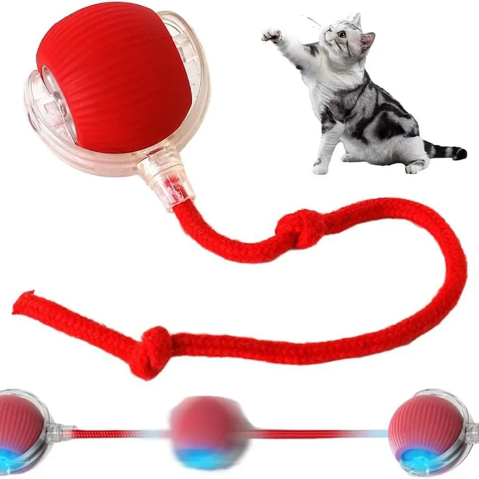 Automatic Rolling Ball Cat & Dog Toy