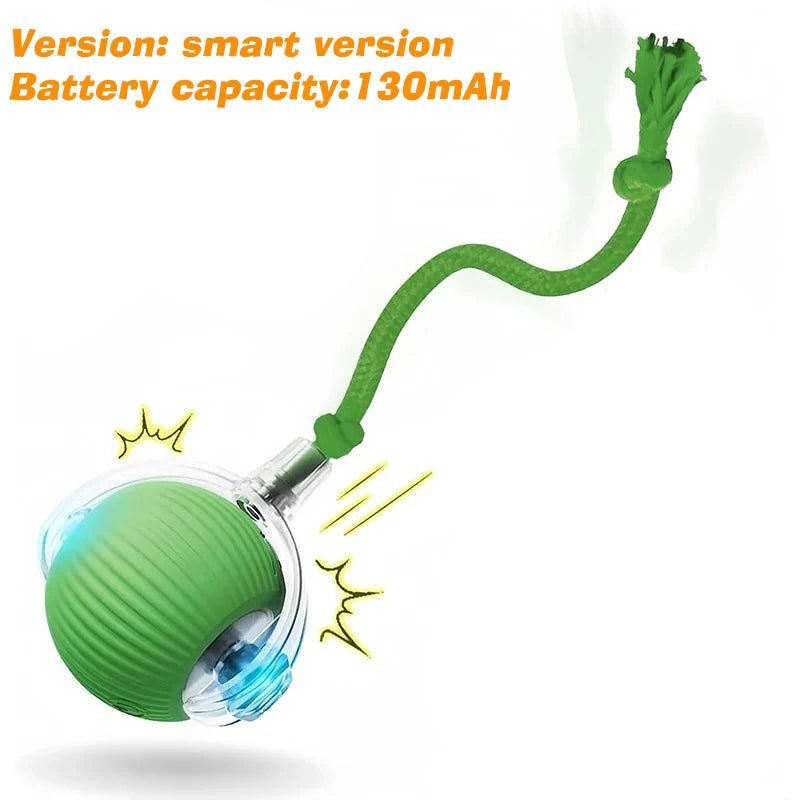 Smart Auto-Rolling Dog Ball Toy