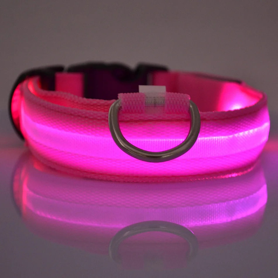 LED Glow-in-the-Dark Dog Leash