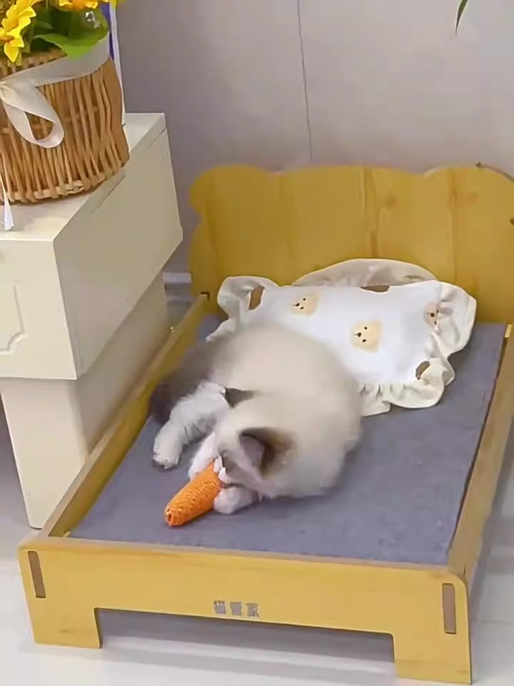 Cat Radish Chew & Teaser Toy for Teeth Grinding