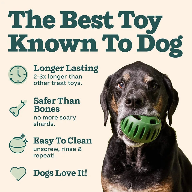 Silicone Dog Chew Toy & Treat Mold