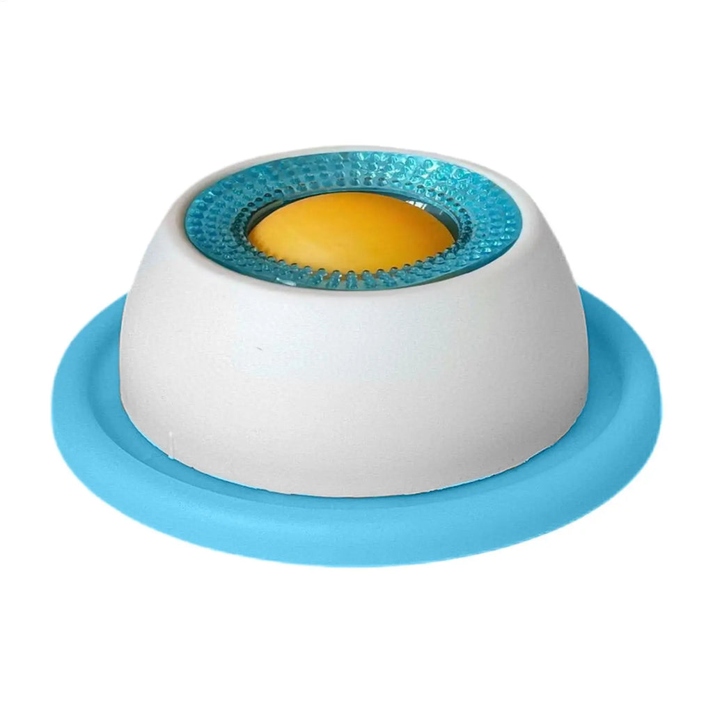 Slow Feeder Pet Food Bowl