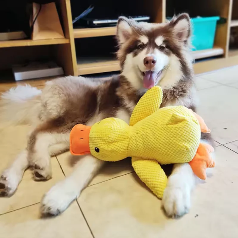 Dog Hugging Duck Plush Toy