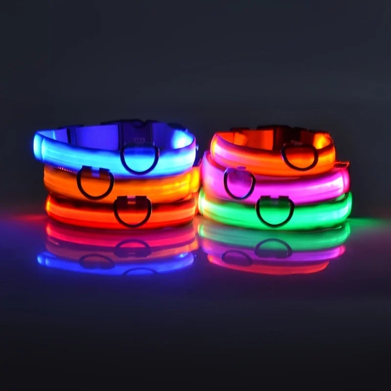 LED Glow-in-the-Dark Dog Leash