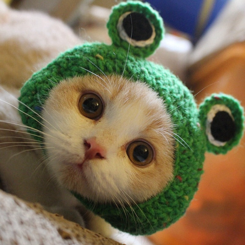 Handmade Frog Pet Hat for Cats & Dogs