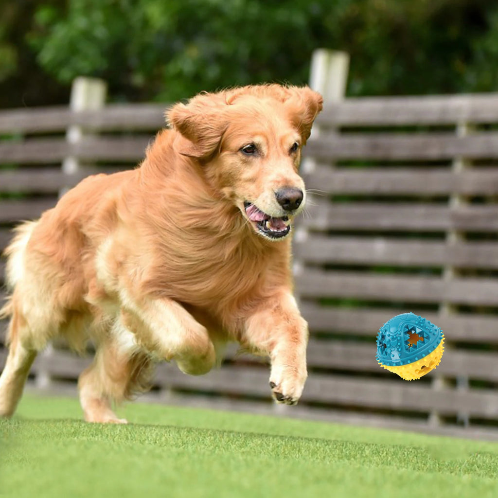 Treat-Dispensing Squeaky Dog Chew Ball