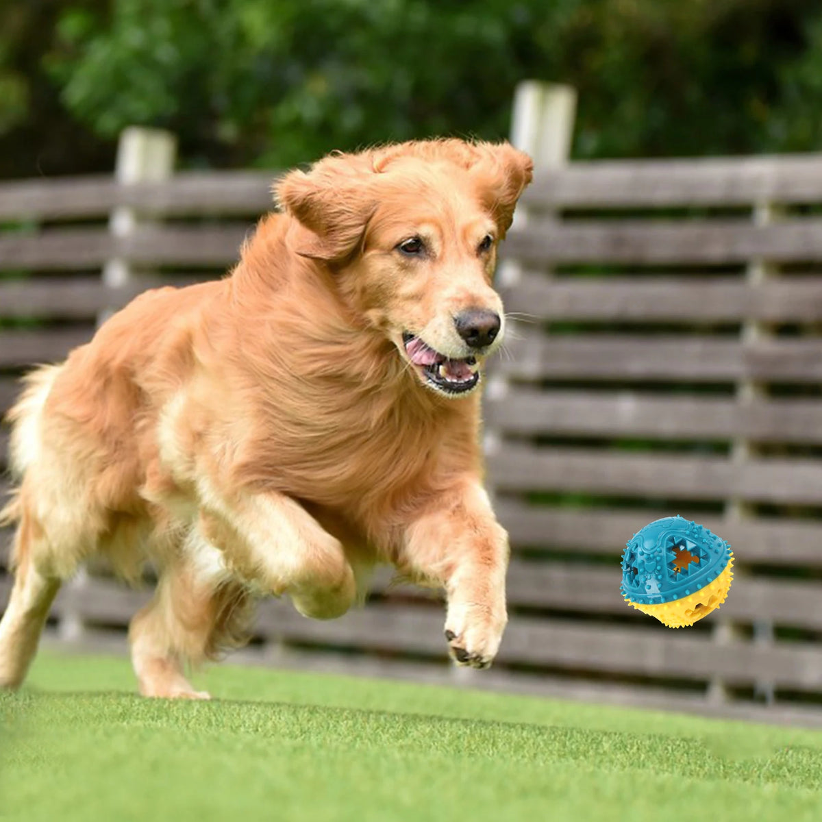 Treat-Dispensing Squeaky Dog Chew Ball