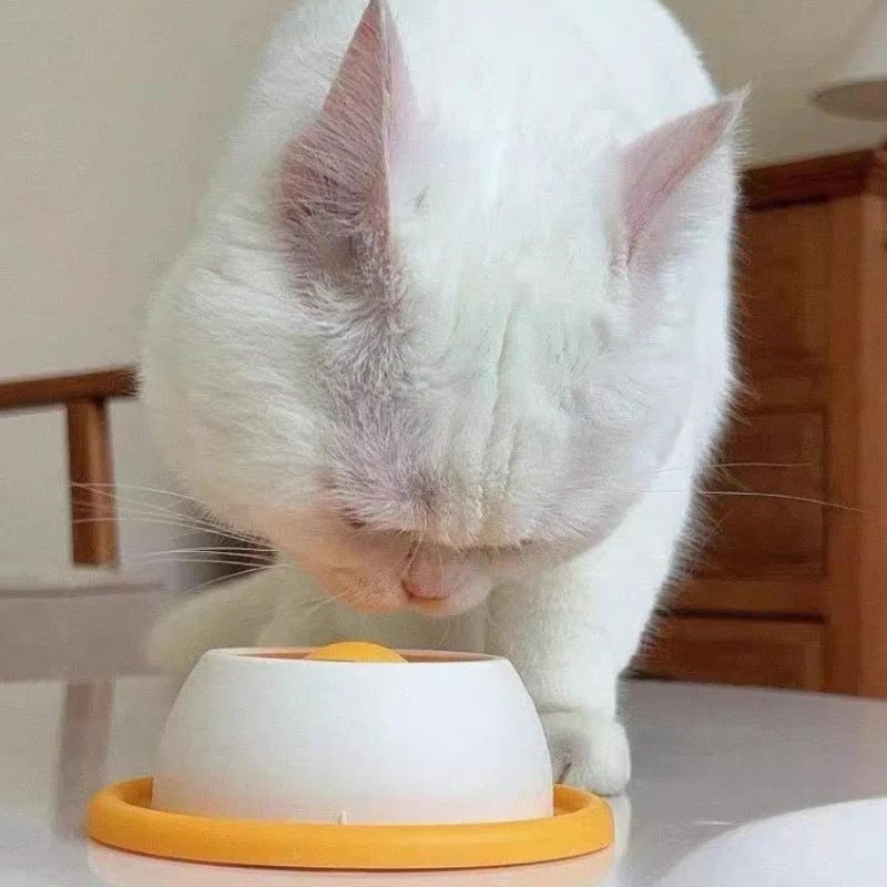 Slow Feeder Pet Food Bowl