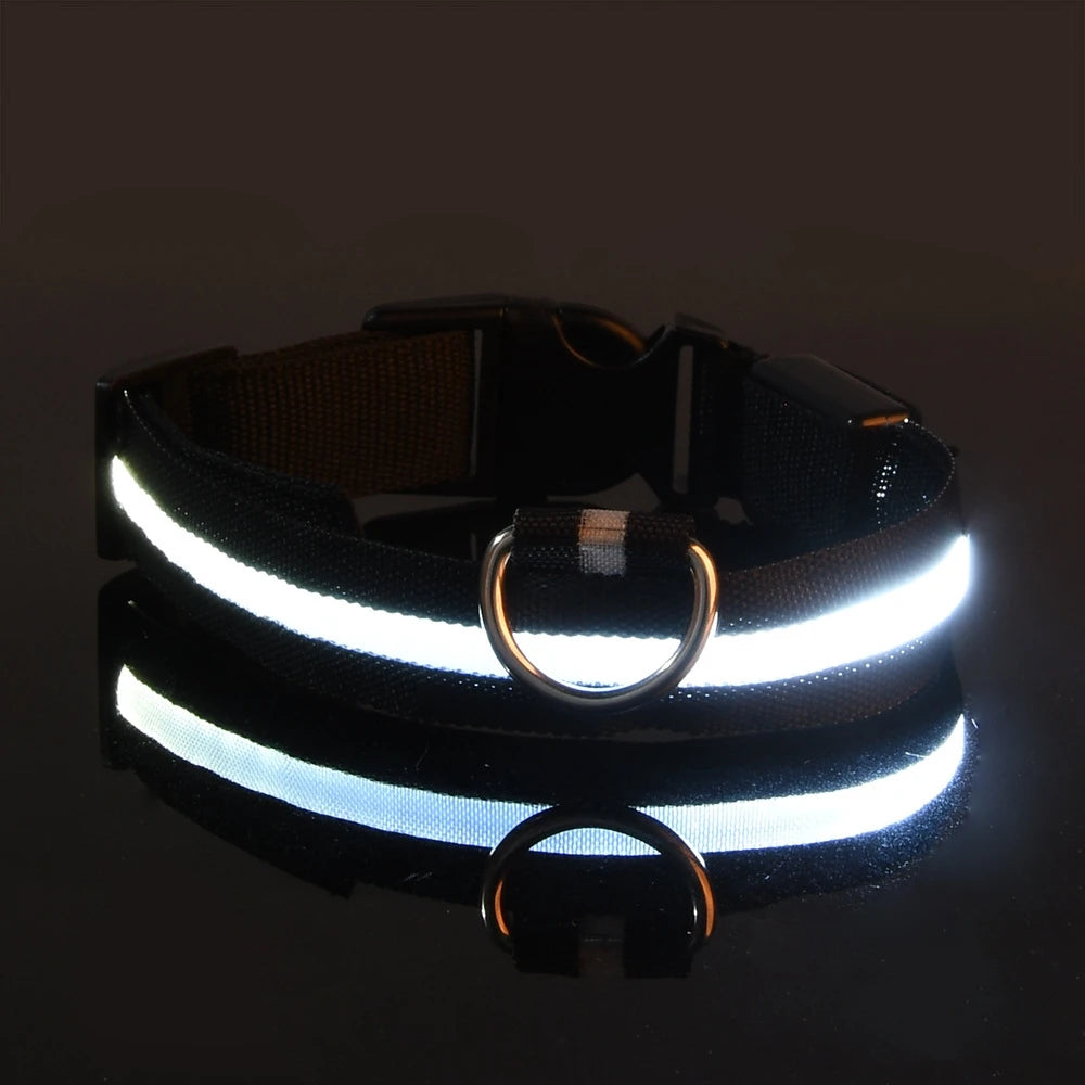 LED Glow-in-the-Dark Dog Leash