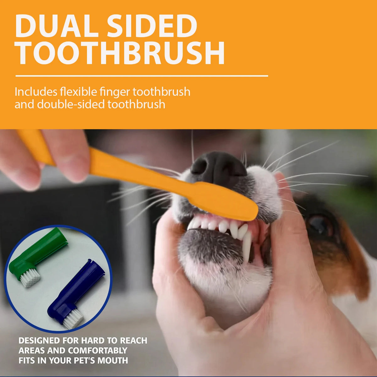 Pet Dental Care Kit