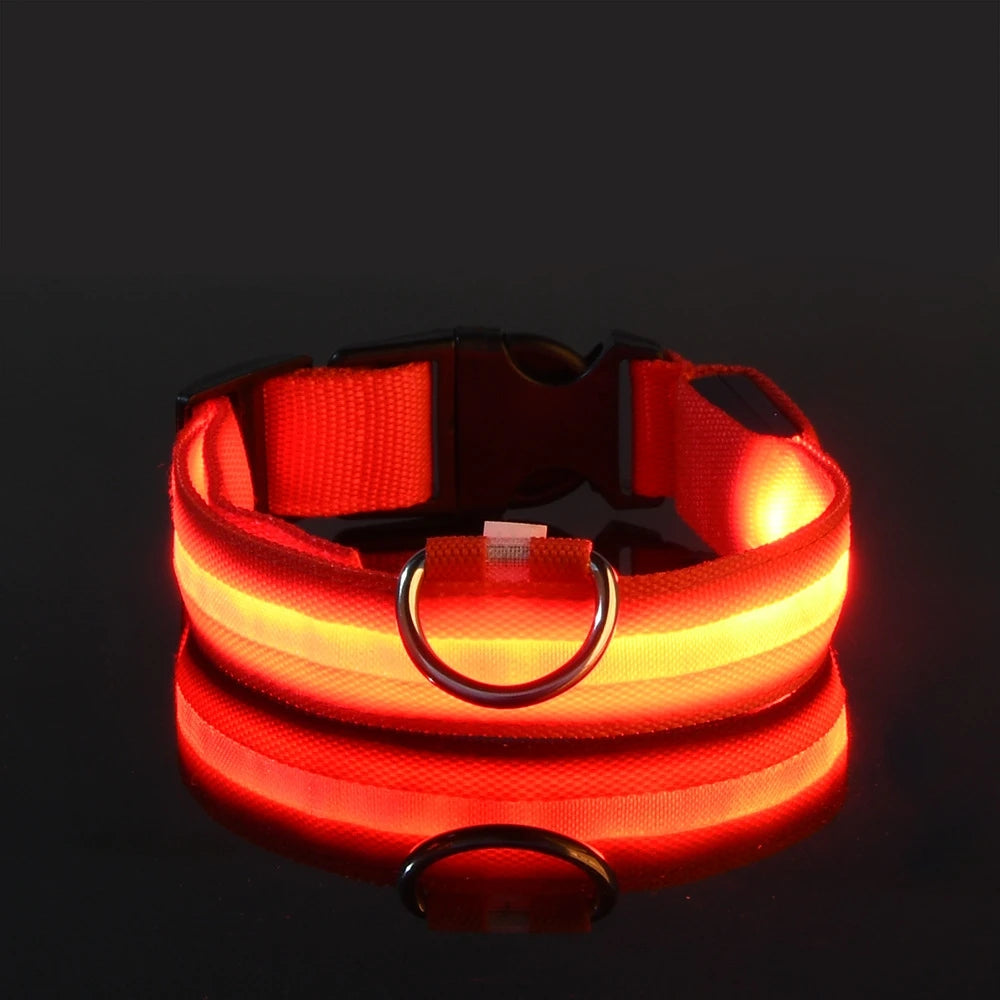 LED Glow-in-the-Dark Dog Leash