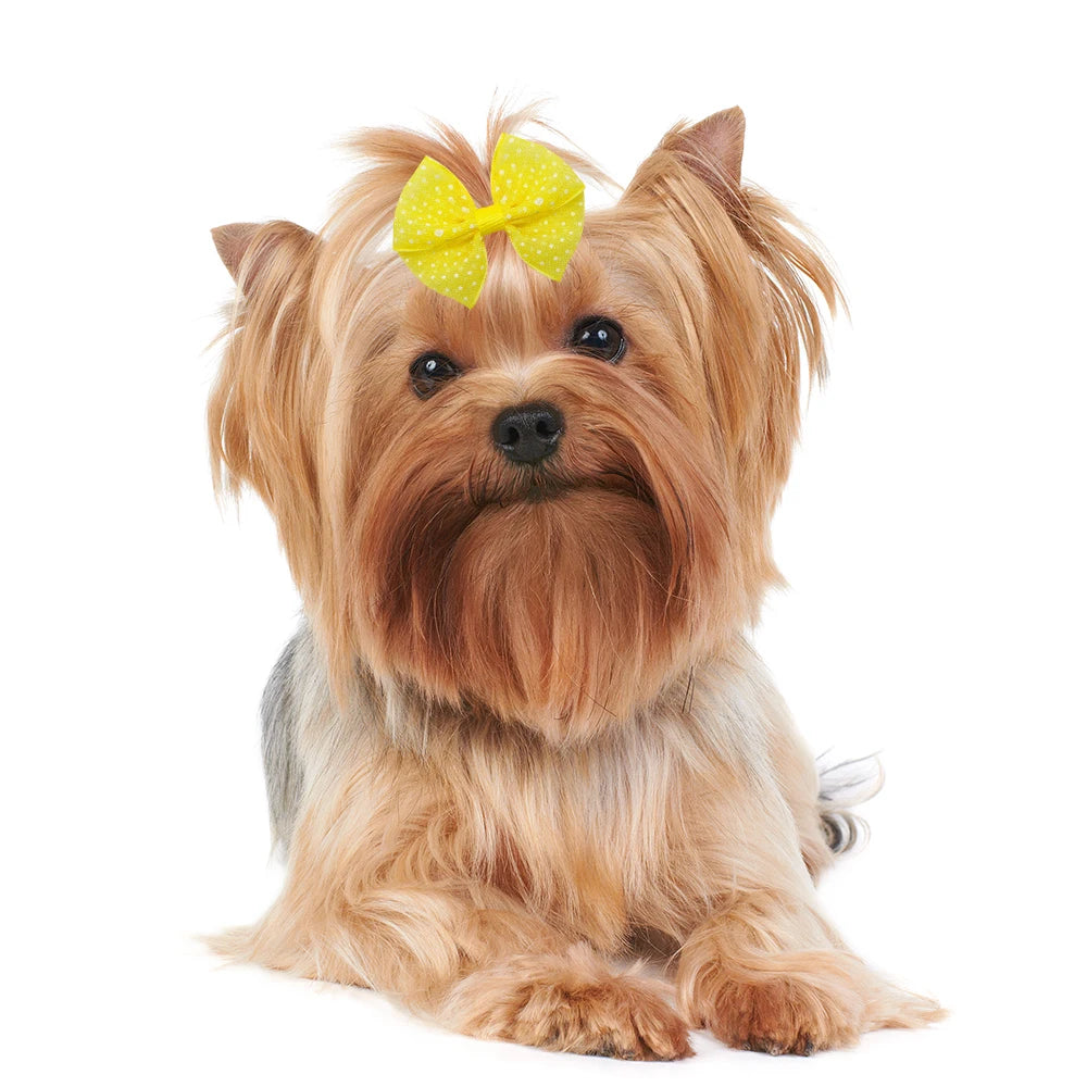 Lace Dog Hair Bows with Rubber Bands (40pcs)