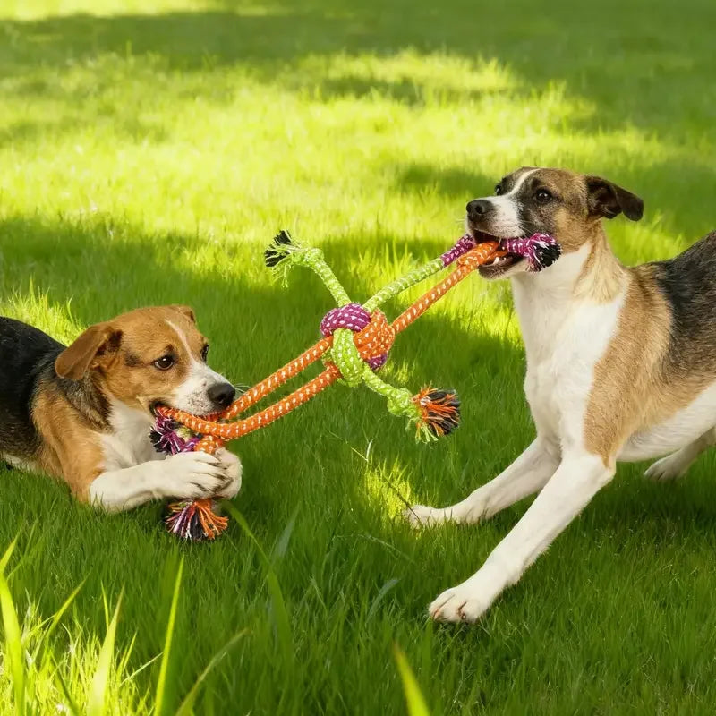 Durable Rope Knot Dog Chew Toy