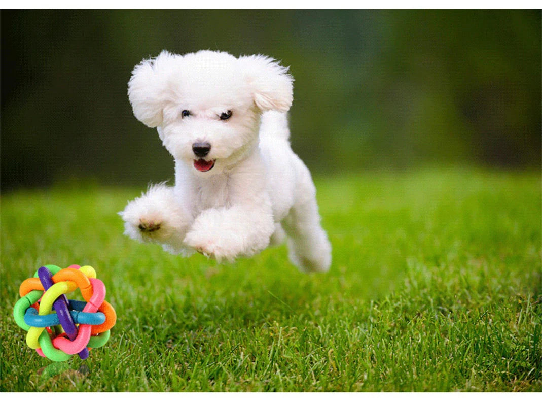 Colorful Bell Rubber Dog Fetch Ball