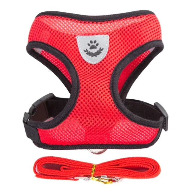 Adjustable Mesh Pet Harness & Leash Set