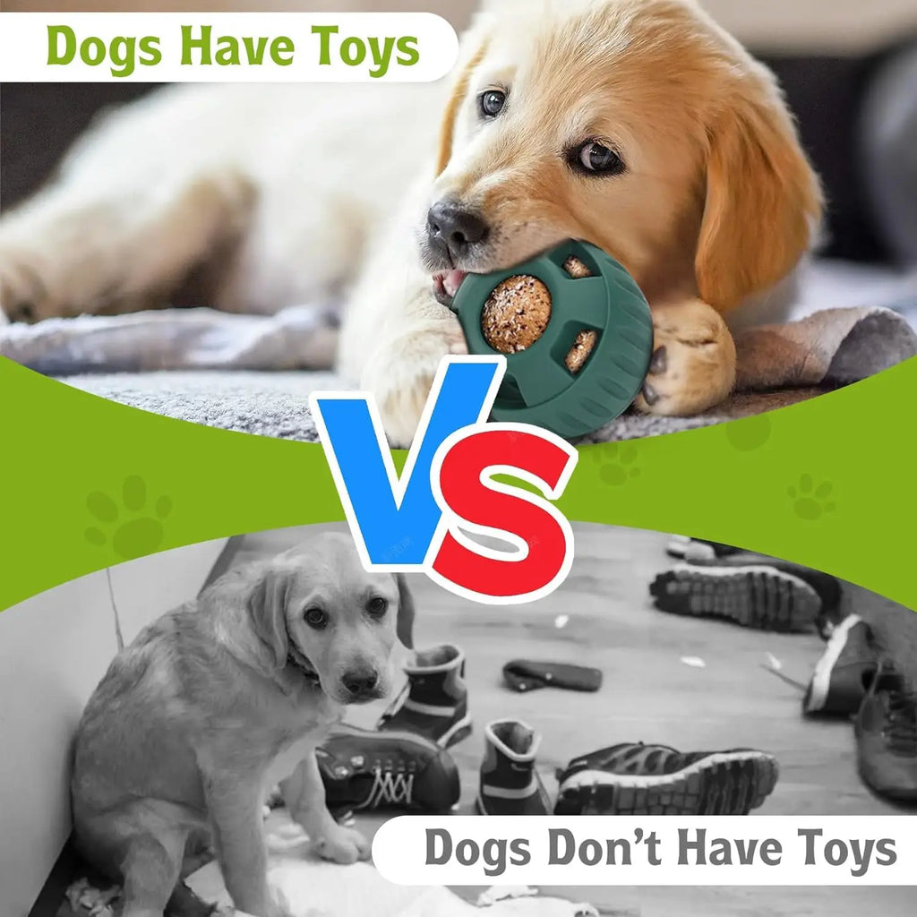 Silicone Dog Chew Toy & Treat Mold