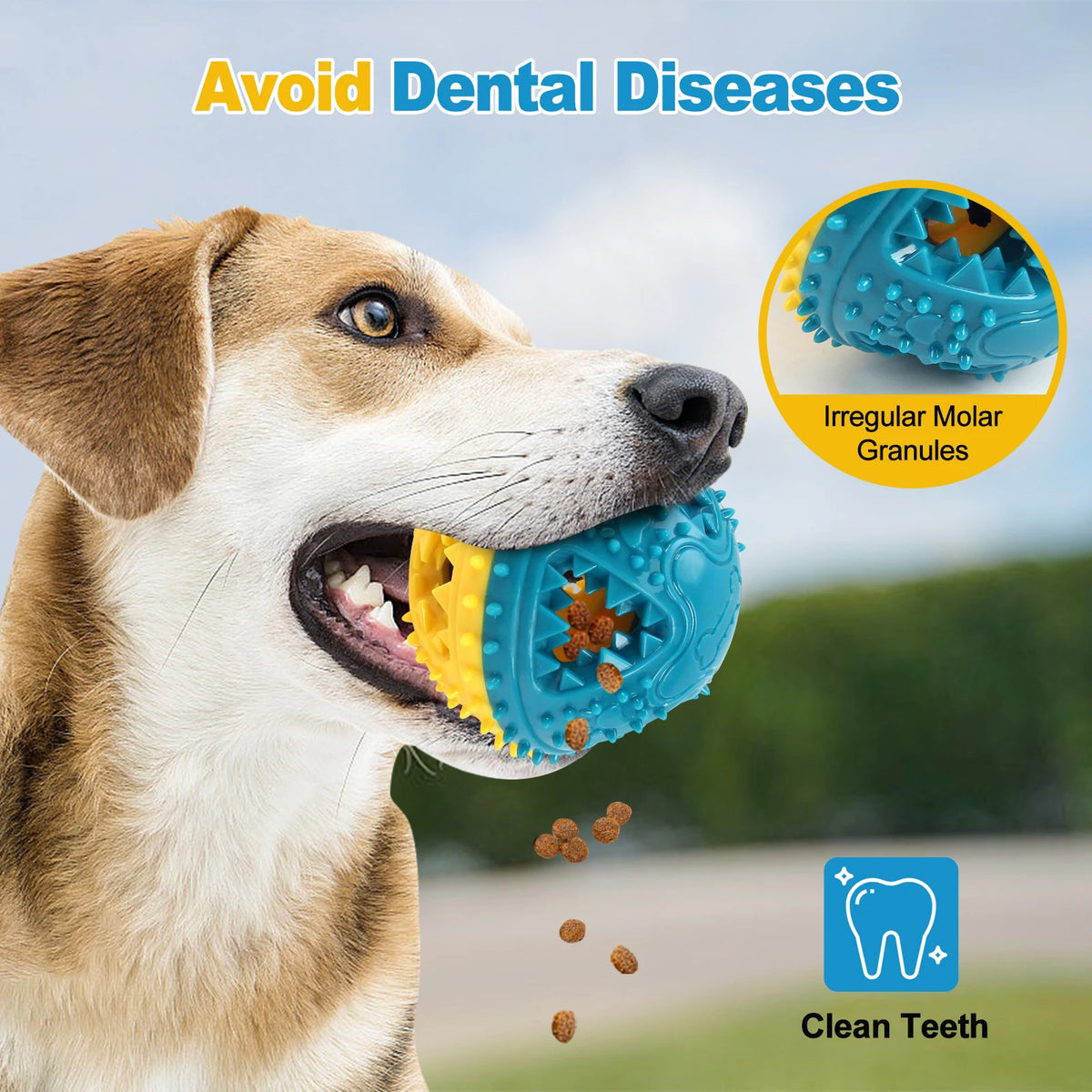 Treat-Dispensing Squeaky Dog Chew Ball