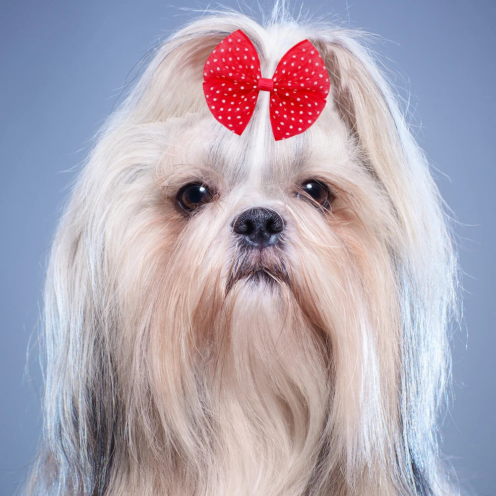 Lace Dog Hair Bows with Rubber Bands (40pcs)
