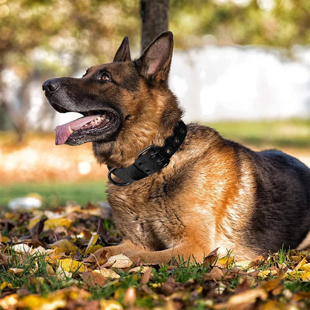Tactical Military Dog Collar
