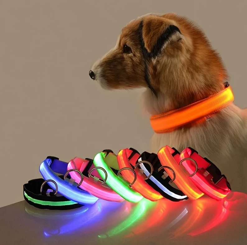 LED Glow-in-the-Dark Dog Leash