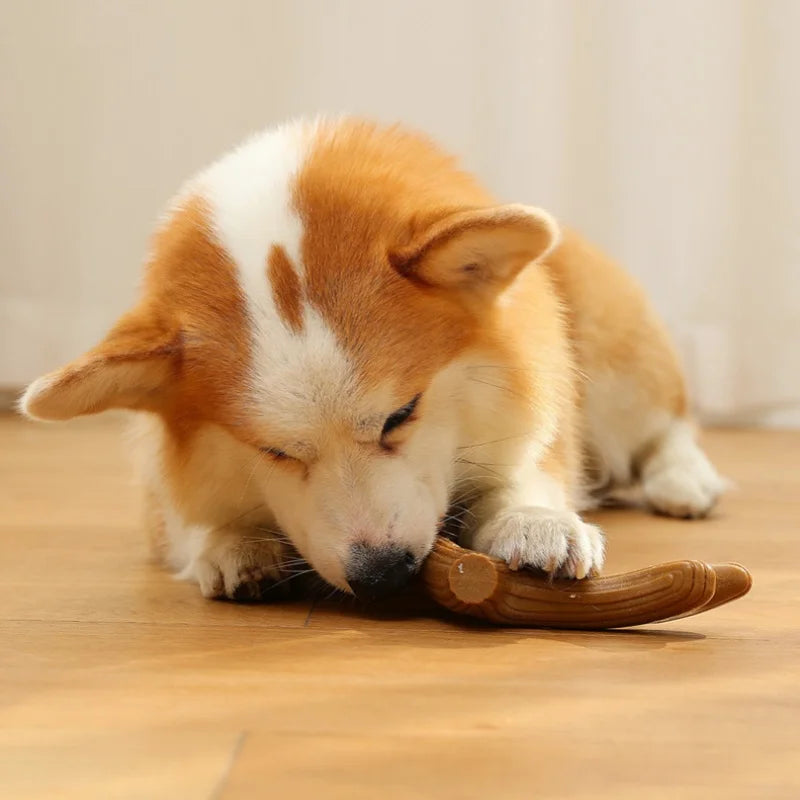 Bamboo Dog Teeth Grinding Toy