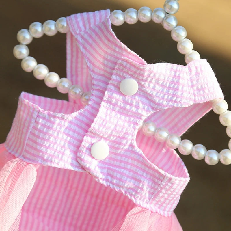 Dog & Cat Princess Lace Dress