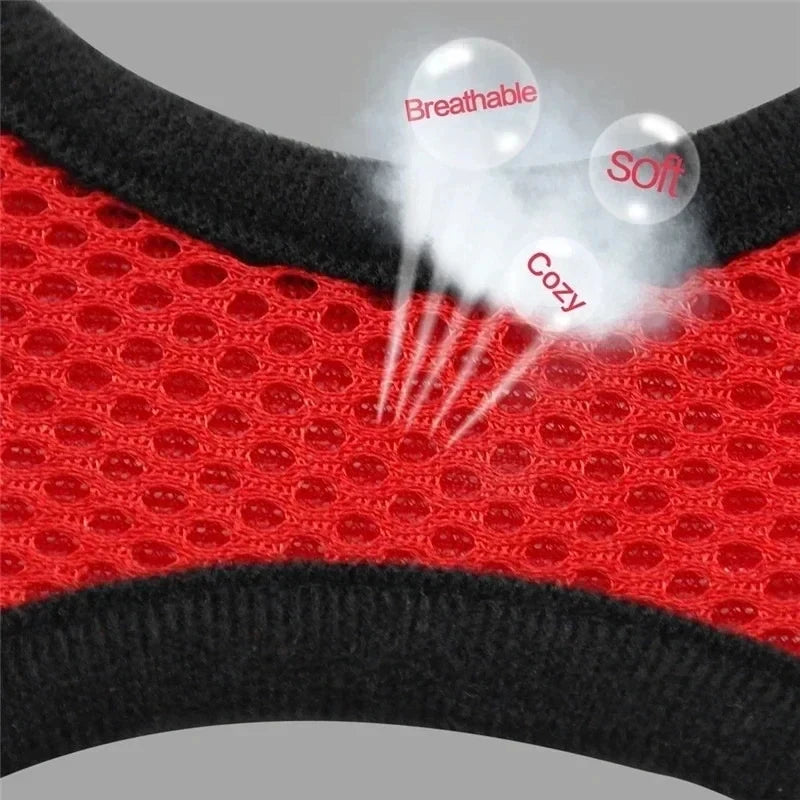 Adjustable Mesh Pet Harness & Leash Set
