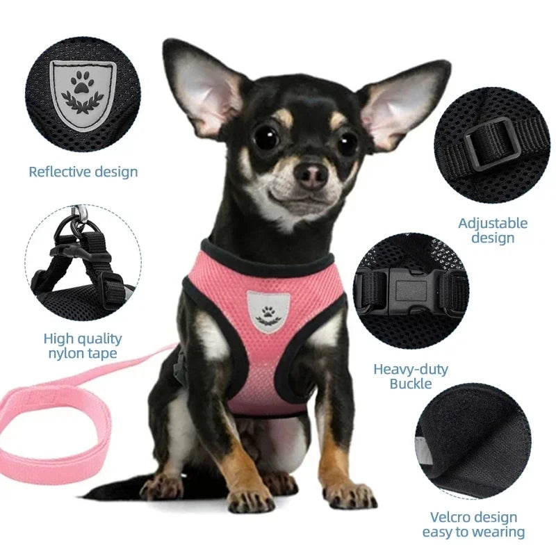Adjustable Mesh Pet Harness & Leash Set