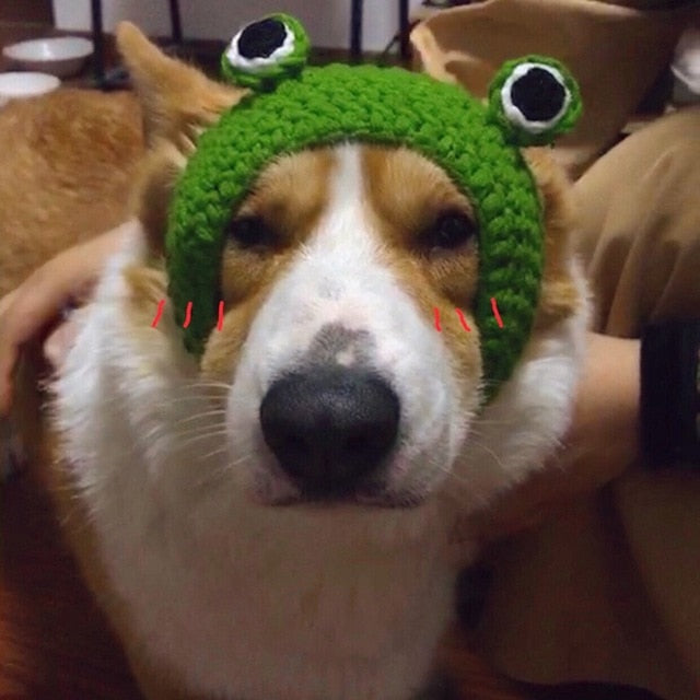 Handmade Frog Pet Hat for Cats & Dogs