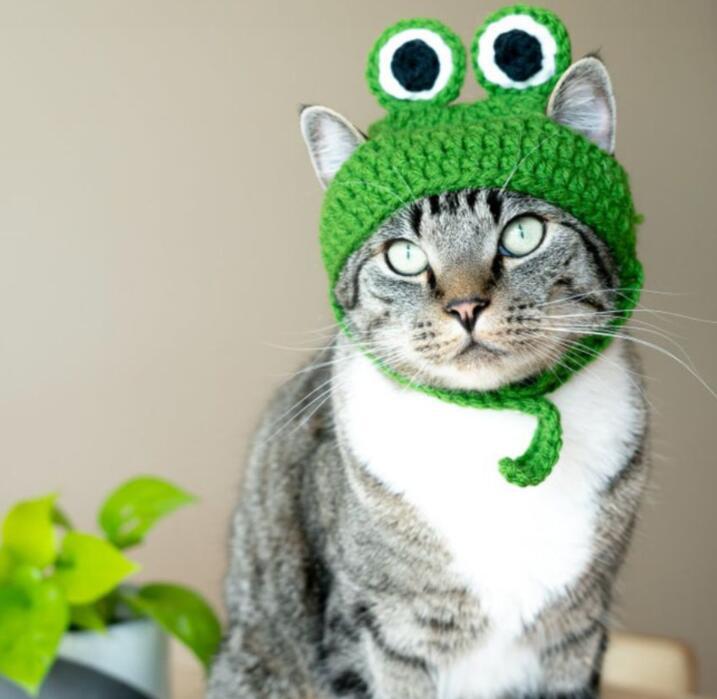 Handmade Frog Pet Hat for Cats & Dogs