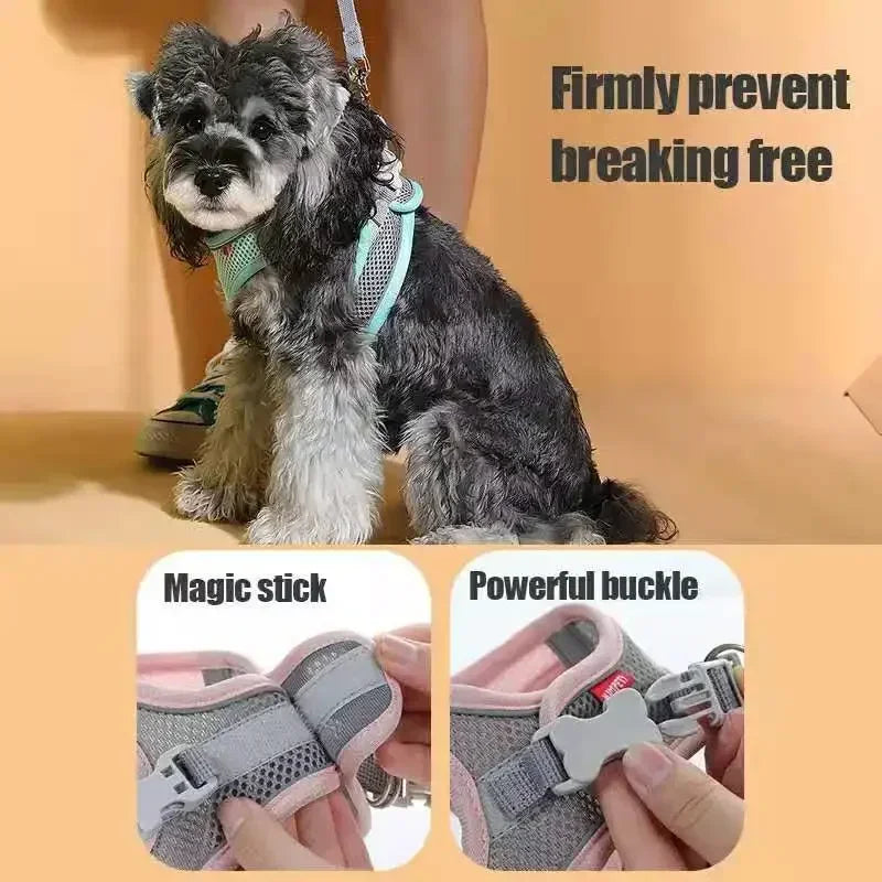 Breathable Small Dog Safety Harness Vest
