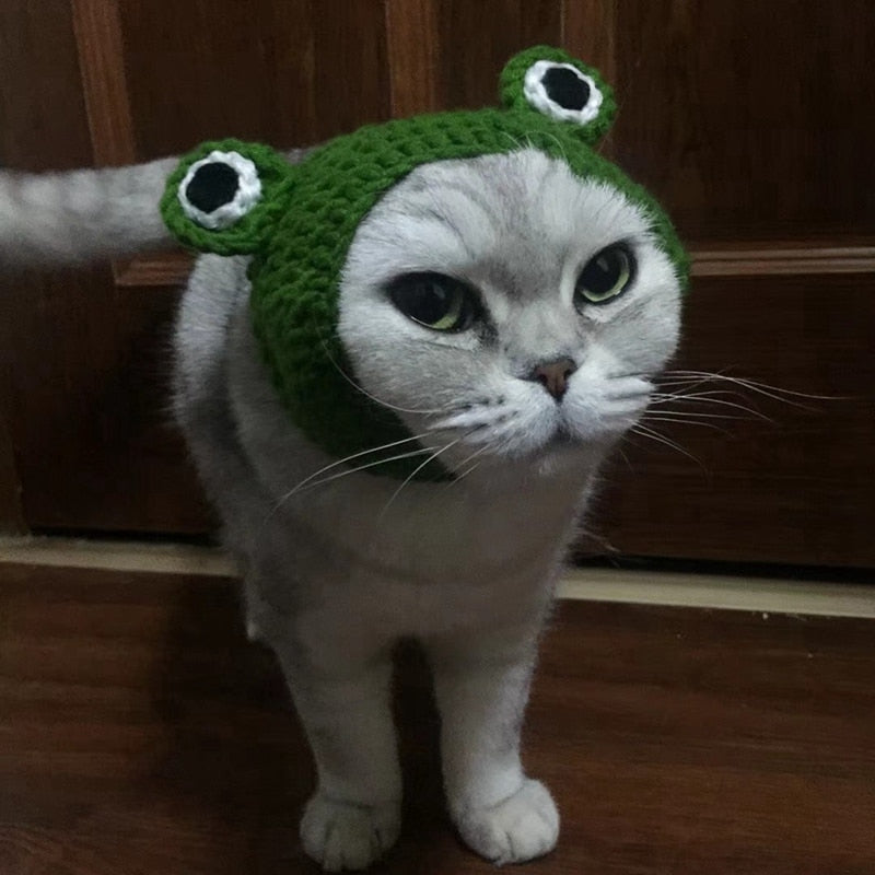 Handmade Frog Pet Hat for Cats & Dogs
